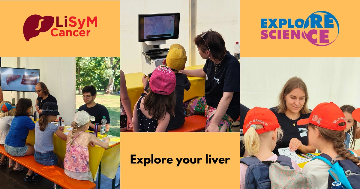 LiSyM Cancer provides exciting insights into liver cancer research at Explore Science in Mannheim