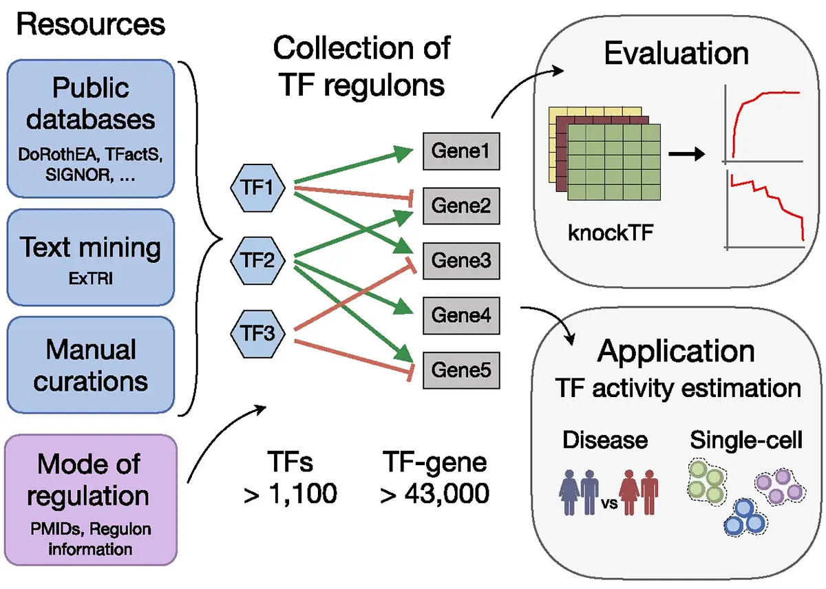 Graphical Abstract